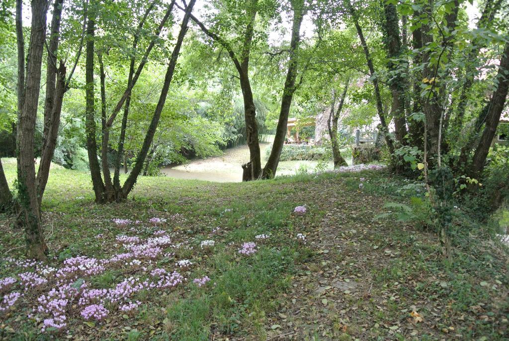 Moulin De Repassat Etape Voie Verte Bazens Εξωτερικό φωτογραφία